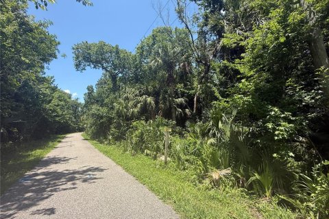 Land in Oviedo, Florida № 1755601 - photo 12