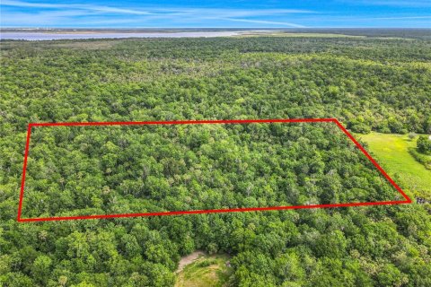 Land in Oviedo, Florida № 1755601 - photo 2