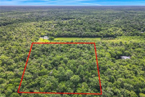 Land in Oviedo, Florida № 1755601 - photo 1