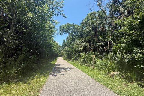 Land in Oviedo, Florida № 1755601 - photo 13