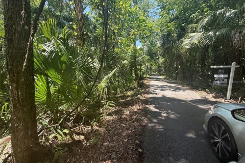 Land in Oviedo, Florida № 1755601 - photo 8