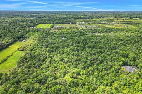 Land in Oviedo, Florida № 1755601 - photo 5