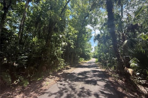 Land in Oviedo, Florida № 1755601 - photo 9