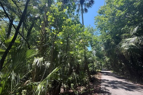 Land in Oviedo, Florida № 1755601 - photo 6