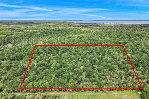 Land in Oviedo, Florida № 1755601 - photo 3