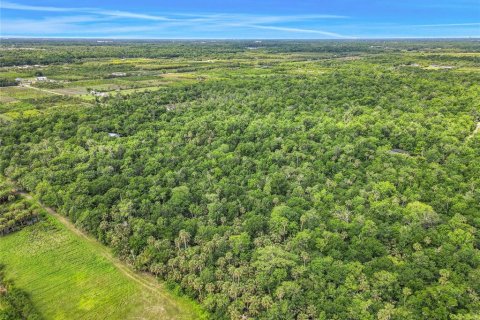 Land in Oviedo, Florida № 1755601 - photo 4