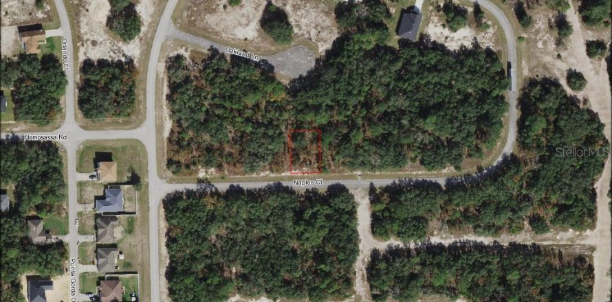Terrain à Poinciana, Floride № 2165503