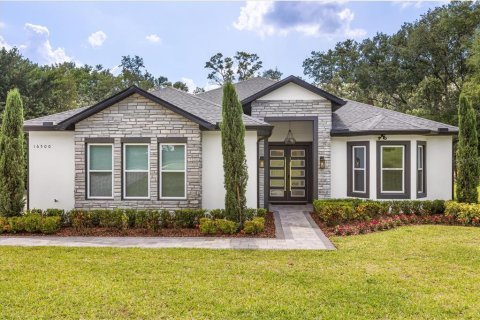 House in Montverde, Florida 4 bedrooms, 313.64 sq.m. № 1719680 - photo 1