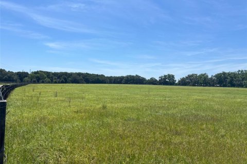 Land in High Springs, Florida № 2125604 - photo 5