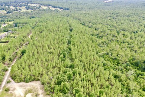 Terreno en venta en Laurel Hill, Florida № 558581 - foto 1