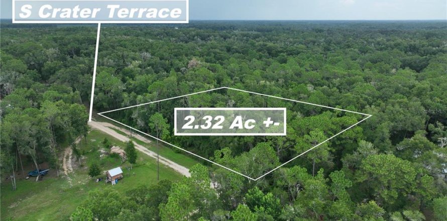 Land in Floral City, Florida № 2225748