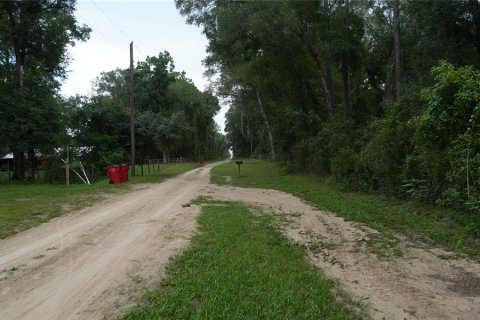 Land in Floral City, Florida № 2225748 - photo 18