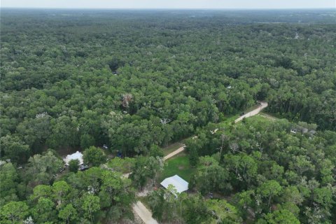 Land in Floral City, Florida № 2225748 - photo 11