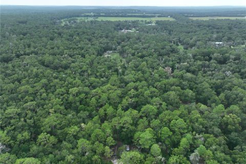 Land in Floral City, Florida № 2225748 - photo 13