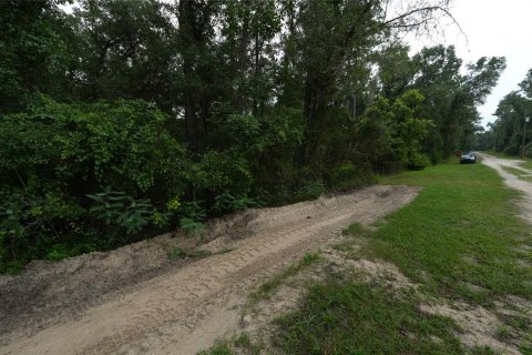 Land in Floral City, Florida № 2225748 - photo 10