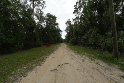 Land in Floral City, Florida № 2225748 - photo 15