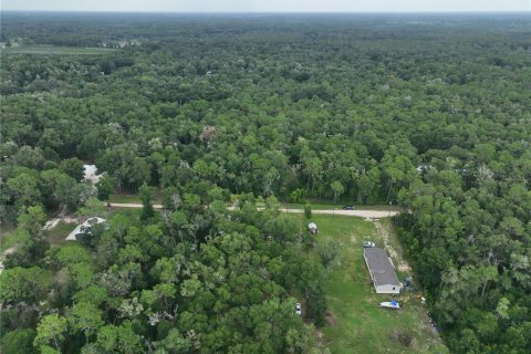 Land in Floral City, Florida № 2225748 - photo 12