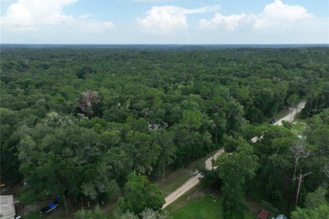 Land in Floral City, Florida № 2225748 - photo 17
