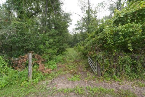 Land in Floral City, Florida № 2225748 - photo 4