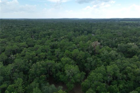 Land in Floral City, Florida № 2225748 - photo 19