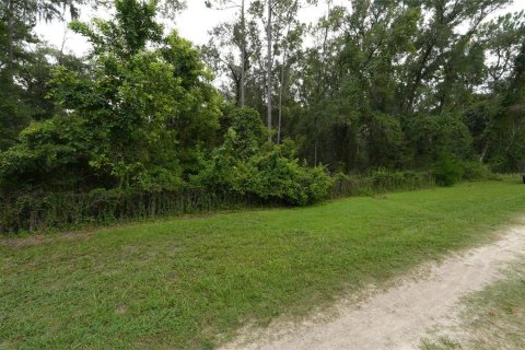 Land in Floral City, Florida № 2225748 - photo 8