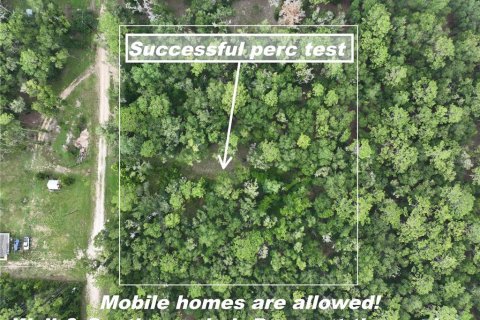 Land in Floral City, Florida № 2225748 - photo 2
