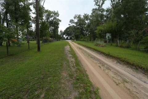 Land in Floral City, Florida № 2225748 - photo 3