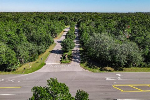 Купить земельный участок в Флаглер–Бич, Флорида № 1554922 - фото 3