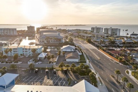 Commercial property in Dunedin, Florida 598.01 sq.m. № 2112059 - photo 12