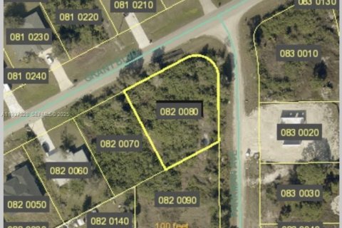 Terrain à vendre à Lehigh Acres, Floride № 1994890 - photo 3