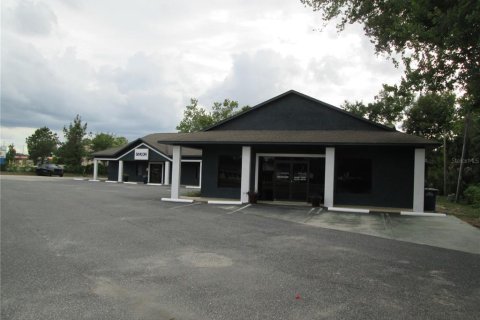 Commercial property in Tavares, Florida 653.29 sq.m. № 2156244 - photo 2