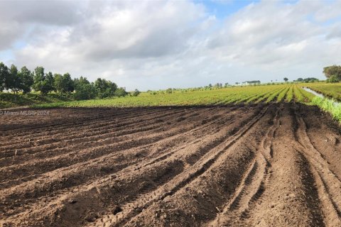 Купить коммерческую недвижимость в Палм-Бич, Флорида № 2061261 - фото 29