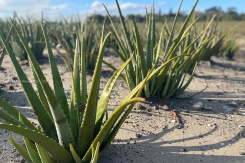 Propiedad comercial en Palm Beach, Florida № 2061261