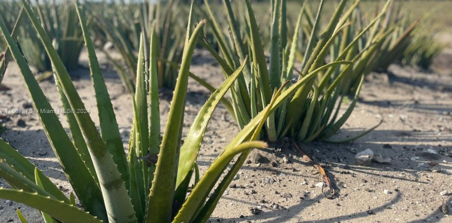 Коммерческая недвижимость в Палм-Бич, Флорида № 2061261