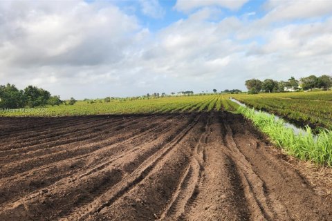 Купить коммерческую недвижимость в Палм-Бич, Флорида № 2061261 - фото 7