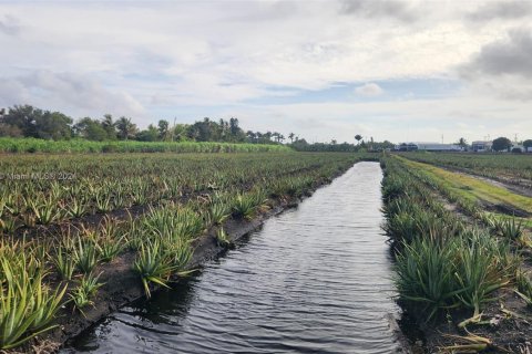 Купить коммерческую недвижимость в Палм-Бич, Флорида № 2061261 - фото 3