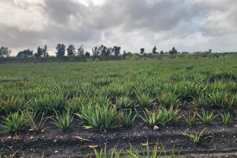 Купить коммерческую недвижимость в Палм-Бич, Флорида № 2061261 - фото 9