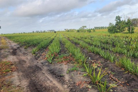 Купить коммерческую недвижимость в Палм-Бич, Флорида № 2061261 - фото 17