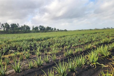 Купить коммерческую недвижимость в Палм-Бич, Флорида № 2061261 - фото 27