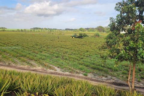 Купить коммерческую недвижимость в Палм-Бич, Флорида № 2061261 - фото 8