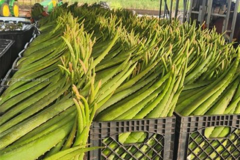 Купить коммерческую недвижимость в Палм-Бич, Флорида № 2061261 - фото 4