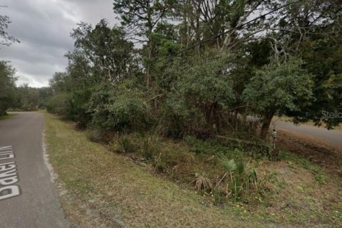 Land in Jacksonville, Florida № 2135091