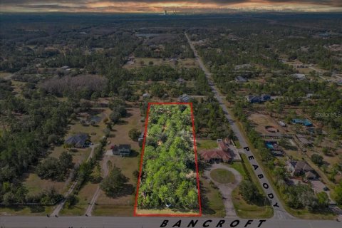 House in Orlando, Florida 6 bedrooms, 412.86 sq.m. № 1734442 - photo 21