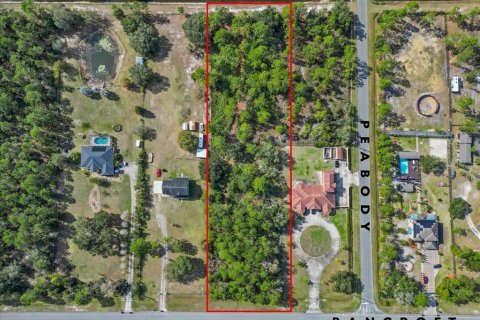 House in Orlando, Florida 6 bedrooms, 412.86 sq.m. № 1734442 - photo 22