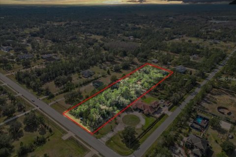 House in Orlando, Florida 6 bedrooms, 412.86 sq.m. № 1734442 - photo 20