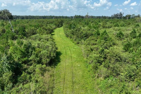 Land in Morriston, Florida № 1374724 - photo 11