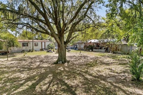 Land in Winter Haven, Florida № 2219542 - photo 2