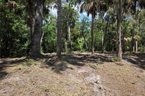 Terrain à vendre à Brandon, Floride № 2230194 - photo 8