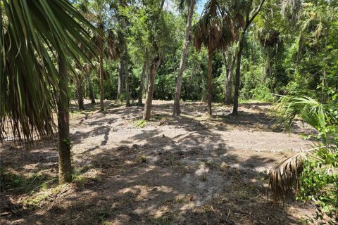 Terrain à vendre à Brandon, Floride № 2230194 - photo 6