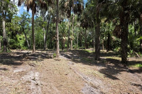 Terrain à vendre à Brandon, Floride № 2230194 - photo 7